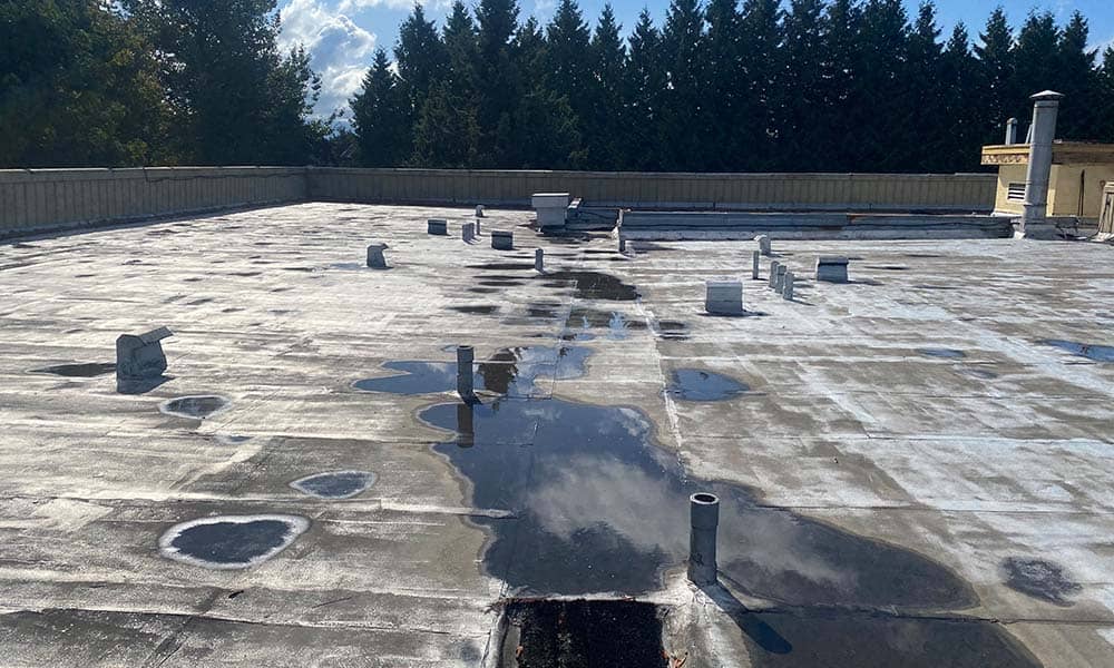 Roofing Company, Roofing Contractor and Roofer